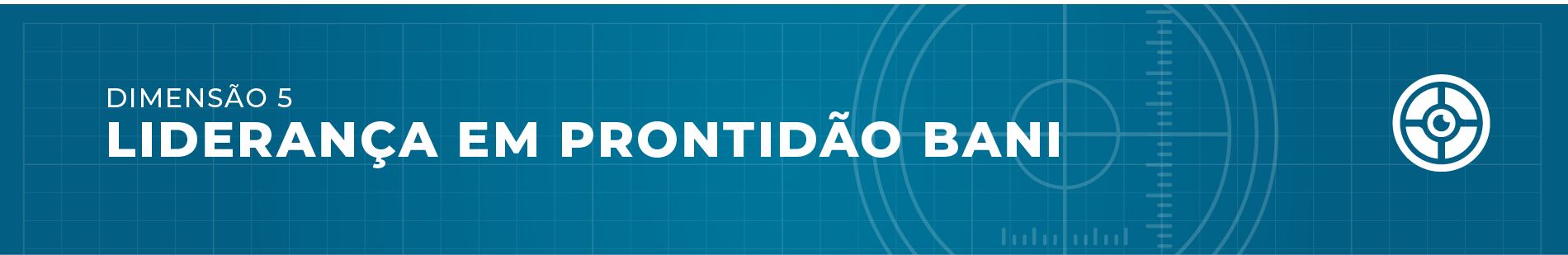 Dimensão 5 - LIDERANÇA EM PRONTIDÃO BANI